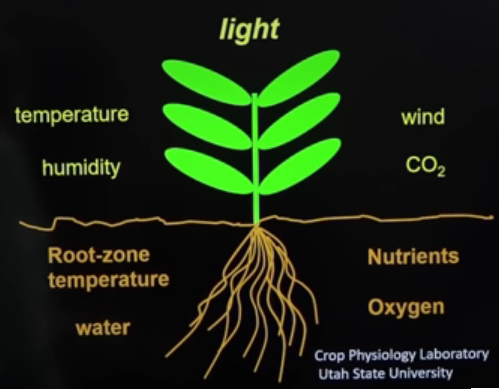 Plante parametre og gro optimering